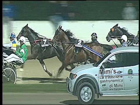 Trotto 06/11/2016 - 5ª corsa