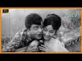 தங்க நிலவே பாடல் Thanga Nilave Song Gemini Ganesan Lakshmi Love Song S M