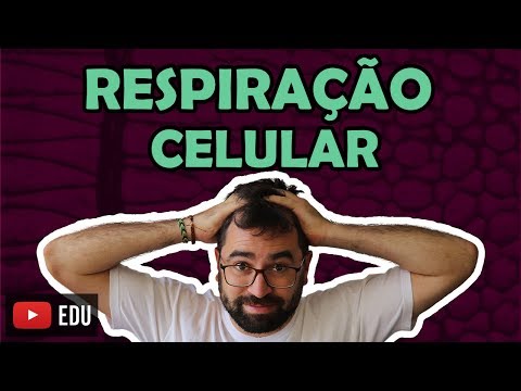 Cellular Respiration - Class 24 - Module I: Cell Biology | Prof. Gui