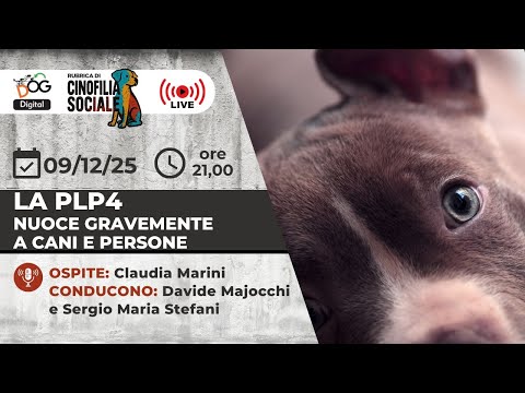 La PLP4 nuoce gravemente a cani e persone