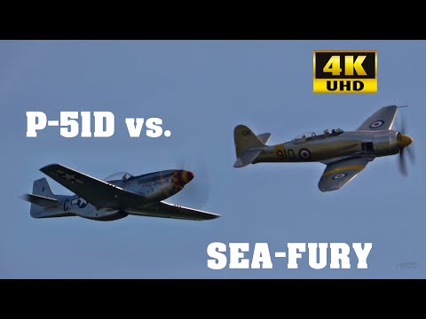 P-51 Mustang vs. Sea Fury - A Comparison 2020