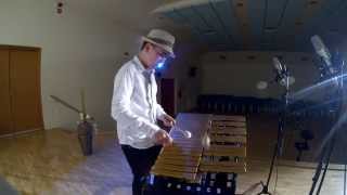 Lullaby of Birdland - Vibraphone cover