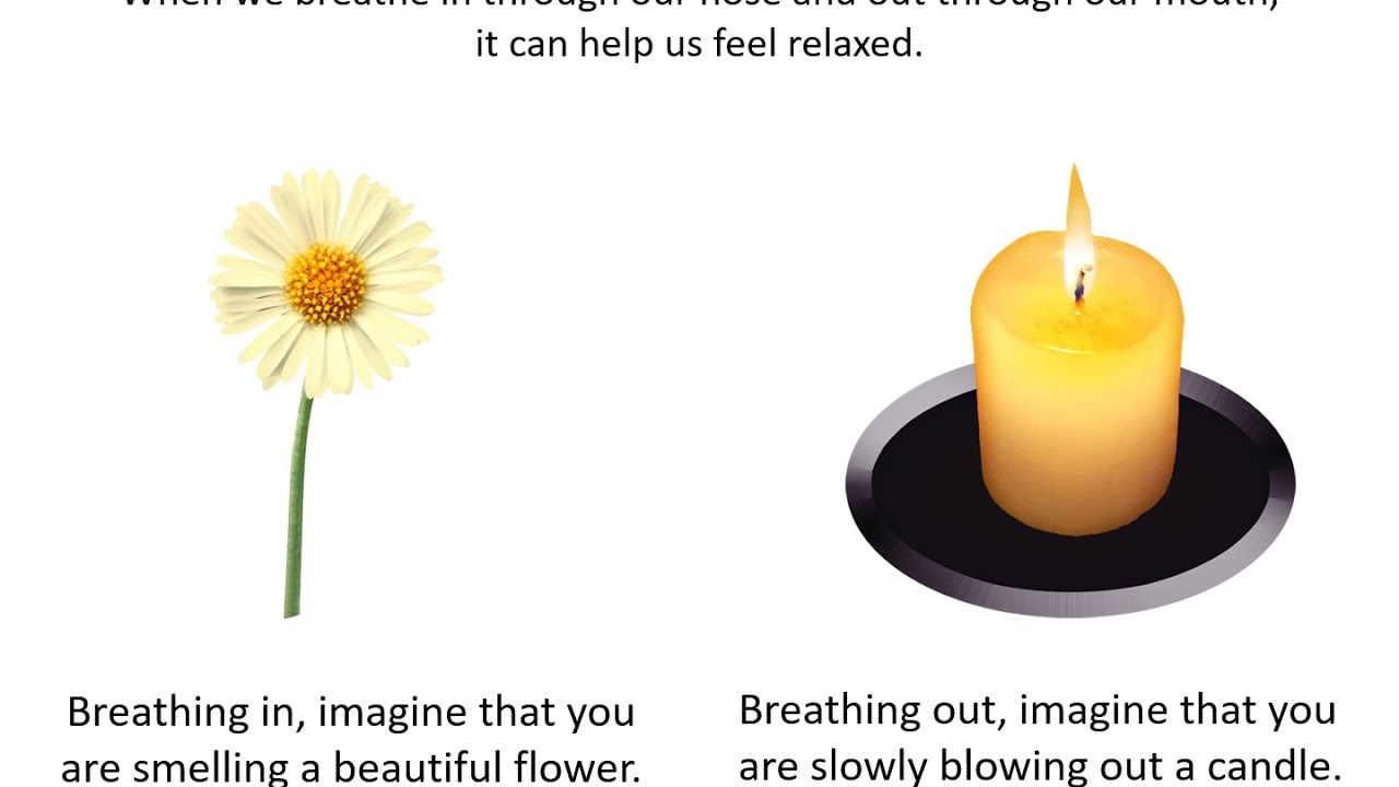 Activity Hub: Mindfulness Practice 'Feeling Thankful'