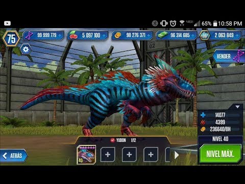 Preparing for yodon jwtg