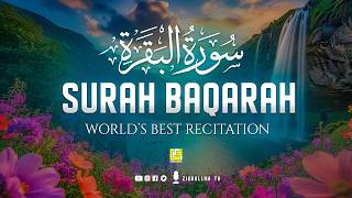 Download lagu Surah AL BAQARAH Full (سورة البقره) THIS ULTIMATE VOICE WILL TOUCH YOUR HEART | Zikrullah TV mp3