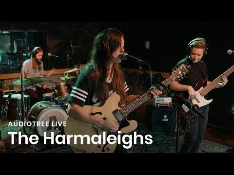 The Harmaleighs - I Keep Ticking On | Audiotree Live