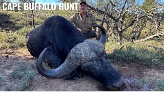 Surviving the Ultimate African Adventure: Cape Buffalo Hunt Part 2