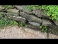 Yellow Jackets Nesting in Stone Retaining Wall in Barnegat, NJ