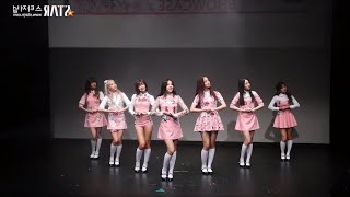 [Mirrored] Welcome to Momoland - MOMOLAND