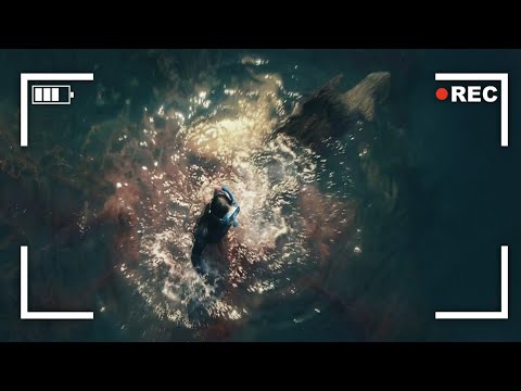 The Worst Shark Attack in Australian History