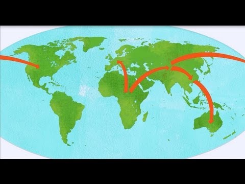 Distilled Demographics: How Many People Have Ever Lived on Earth? Video thumbnail