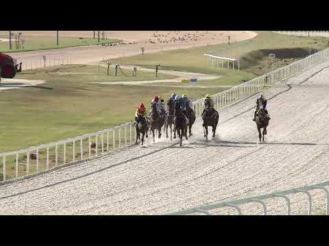2020.09.27. 06. futam - FREDDIE MERCURY HENDIKEP (IV.o.) (szintetikus pálya)