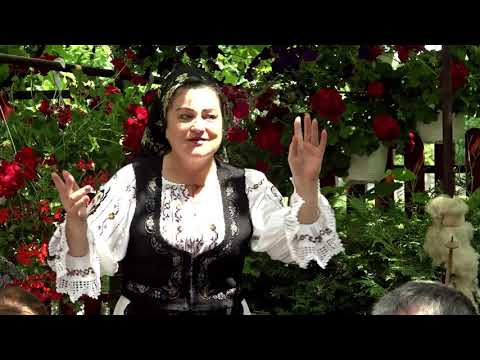 Voichita Naghi -  Sus in dealu Mociului