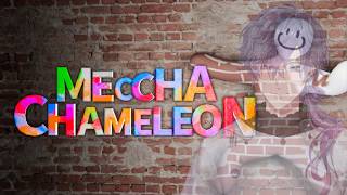 【めっちゃカメレオン / MECCHA CHAMELEON】hide & seek for artists (I'm not an artist...)