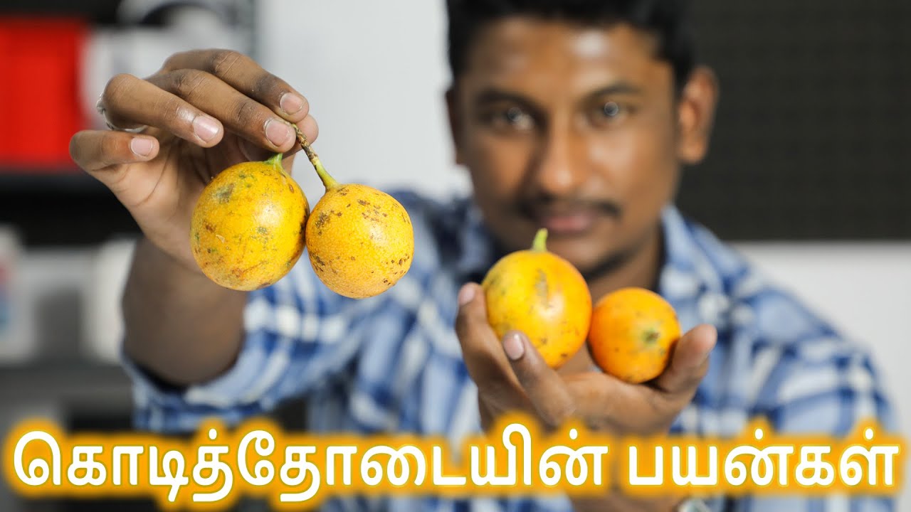 வைட்டமின்கள் அதிகம் உள்ள கொடித்தோடையின் பயன்கள்(Passion Fruit) | Passion fruit benefits Fitboss