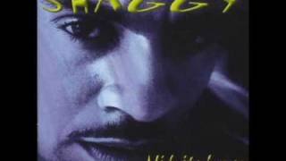 Shaggy - Midnight Lover [Midnight Lover]