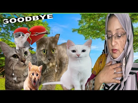 Heartbreaking goodbye 😭| My cats going | Mano , Momo , bye bye Bubluu & jerry going new home