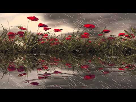 Kiana Lauj - Kuv Ntseeg Tsis Tau