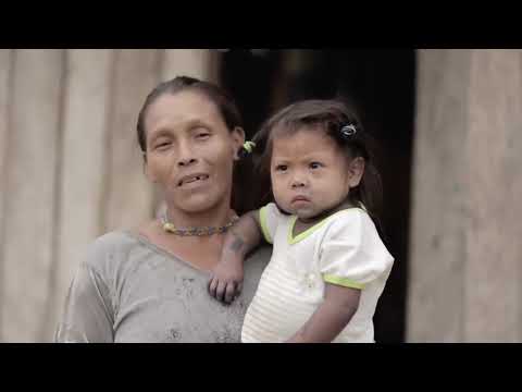 A Tecnologia e o Conhecimento Tradicional a Favor da Conservação da Floresta