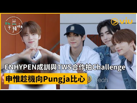 《全知干預視角》第306集│ENHYPEN成訓與TWS合作拍Challenge 申惟趁機向Pungja比心 │Viu韓綜線上看