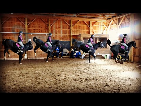 SO EMBARRASSING, OUR HORSE HAS AN ANGER PROBLEM! Day 076 (03/15/20)