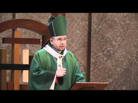 Homily: Fifteenth Sunday in Ordinary Time  (07/10/2011)