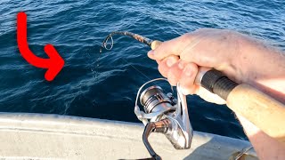 Mud Crabs FOR THE WIN - Deep Dropping Nearshore Structure