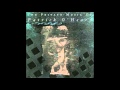 Patrick O'Hearn - The Beauty Within