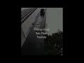 Paulista by Brian Frederick