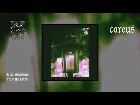 Trhä / Careus - Abcu (full split, 2023)