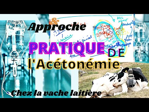 , title : 'Approche pratique de l’Acétonémie chez la vache laitière'