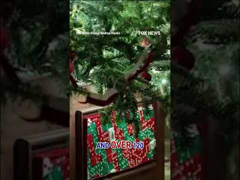 SEE IT: White House unveils STUNNING Christmas decorations #shorts #christmas #holiday #whitehouse