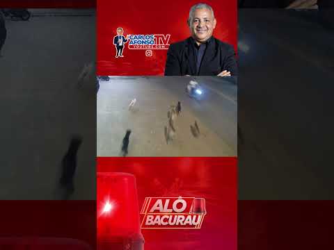 ACIDENTE COM CACHORROS NO BAIRRO ALTA MIRA EM BARRA DO CORDA