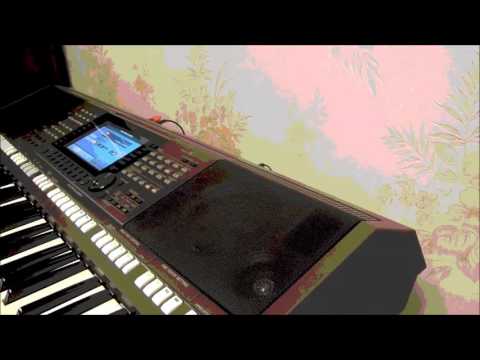 Fancy Flames Of Love PSR S770