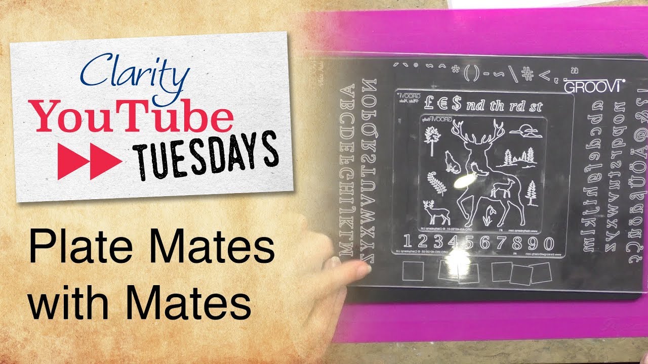 Groovi - Plate Mates with Mates