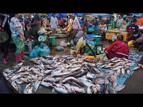 Cambodian Fish Market Scene - Activities & Daily Lifestyle of Vendors Selling Fish, Seafood & More