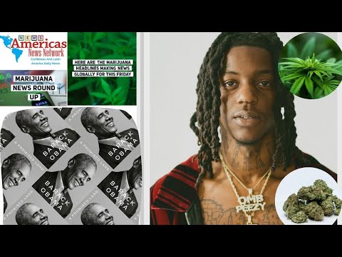 Marijuana News Now - Nov. 20, 2020