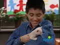 Barney Season 3 Episode 11 Our Furry Featherd Fishy Friends