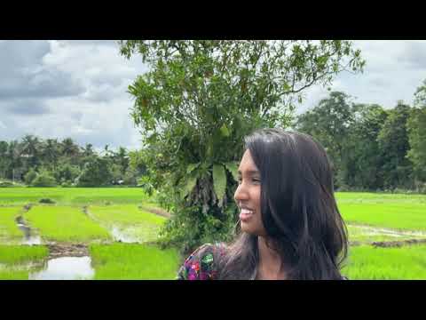 Aththamma Niwan Gihin Music cover | Prabhasha Nethmi
