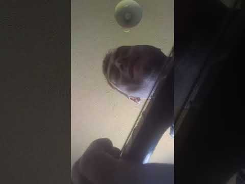 Riding into valhalla 🪓 🤘