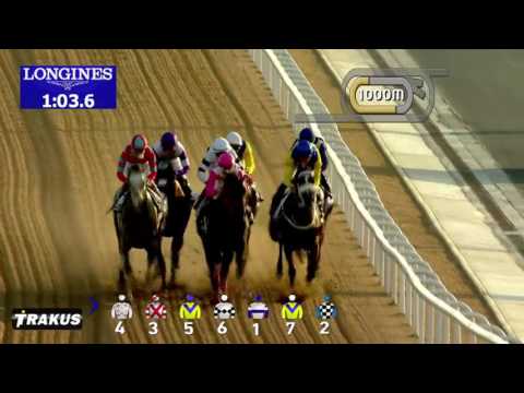 DWC 2016 Race 4 - UAE Derby Sponsored By The Saeed & Mohammed Al Naboodah Group