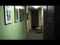 Test Of New Office Video Camera
