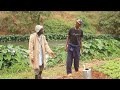 MZEE KICHWA MBAYA AKIKUPEA KAZI