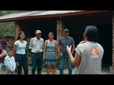 COMPORTAMIENTOS SEGUROS - CÁPSULA INFORMATIVA 2 - PASOS SEGUROS