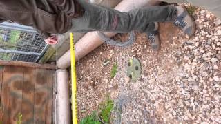 Diario di un viaggio in Bosnia   Parte 1