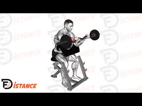 Curl inversé au pupitre avec barre EZ - Exercice Curl inversé au pupitre avec barre EZ en vidéo