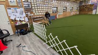 Teaching Recall Part 2