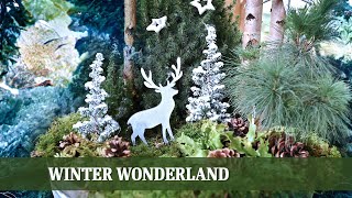 Winter Wonderland - Wie man einen Kübel weihnachtlich bepflanzt