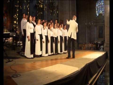 Cantores Amicitiae La Chorale Belfort France