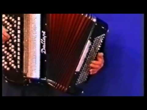 Nenad Ibrahimovic - Nenadov merak